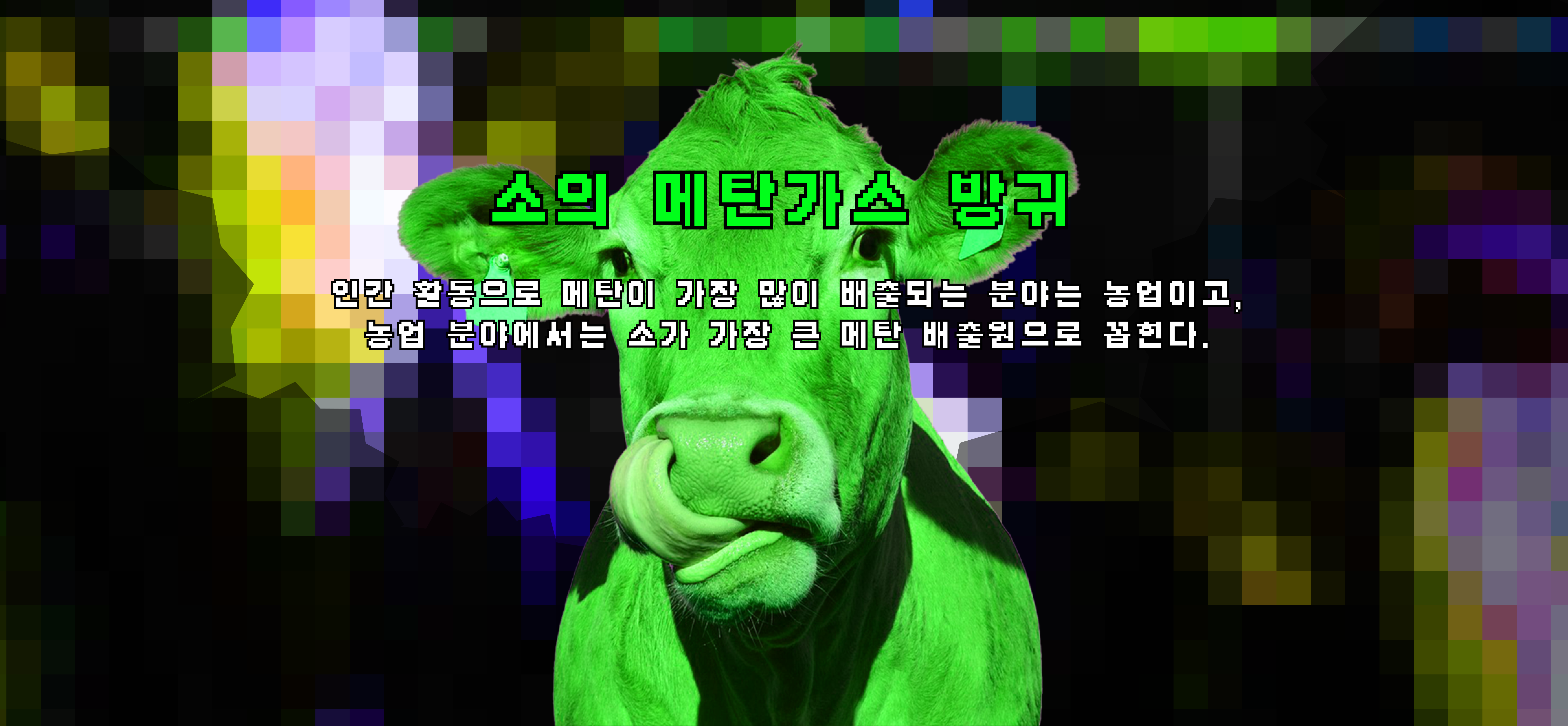 Image 5 Hover